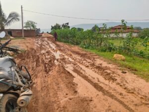 IMG 20250809 WA1090