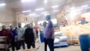 IMG 20250921 08591084