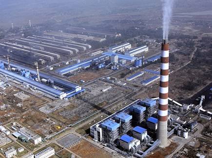 balco_plant_close_1o_2015917_9571_16_09_2015