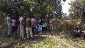 1200 675 25360631 thumbnail 16x9 vv