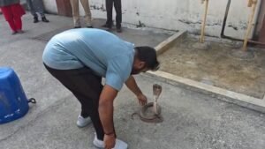 IMG 20260308 09042650