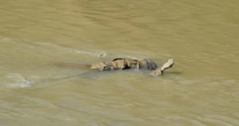 दर्री केनाल में तैरती मिली अज्ञात युवक की लाश, डीडीआरएफ की टीम ने रेस्क्यू कर शव निकाला बाहर IMG 20260416 075822