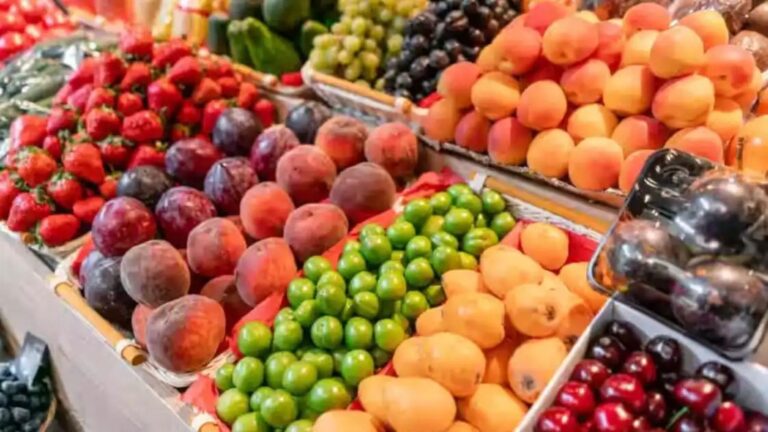 n7087311781776395306437af65149ddfb79048d4b62204e30684fb820dc9dc11e7acf069256ee2078efd36