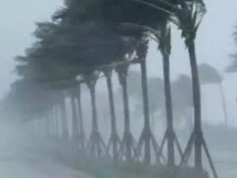 n7099706141777166516375e90a60f4eba78f69b651abeaba60e6b1847154af91041908cc6d4f1e70012675