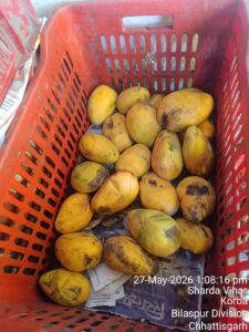 IMG 20260528 WA0016