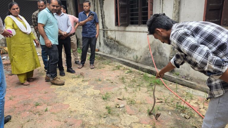 जिला पंचायत परिसर में निकला कोबरा, RCRS टीम ने किया सुरक्षित रेस्क्यू IMG 20260622 WA0083
