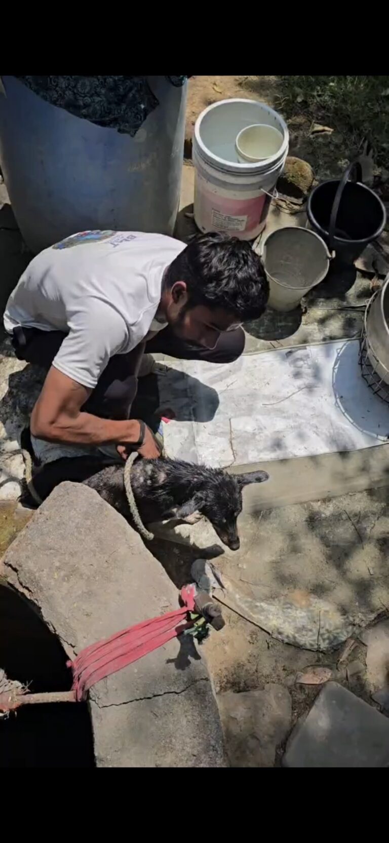 बेजुबान के प्रति RCRS की टीम ने दिखाई दरियादिली, गहरे कुएँ में गिरे श्वान का किया सुरक्षित रेस्क्यू IMG 20260623 WA0020