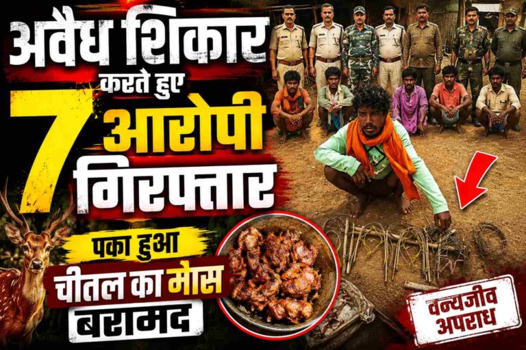 Raipur: वन्यजीव संरक्षण की दिशा में बड़ी सफलता, अवैध शिकार करने वाले 7 शिकारी गिरफ्तार Compress 20260704 203227 7725