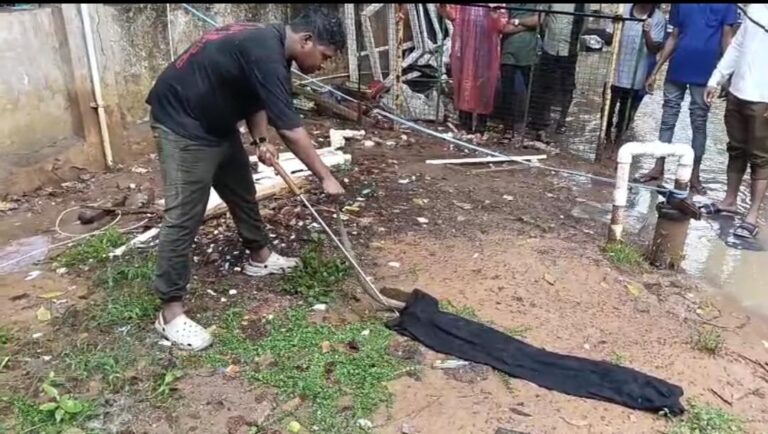 जिला अस्पताल में कैंटीन के समीप निकला जहरीला नाग, जितेंद्र सारथी की टीम ने किया सुरक्षित रेस्क्यू IMG 20260706 WA00491