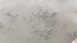 IMG 20260713 00074722