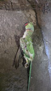 IMG 20260801 WA0092