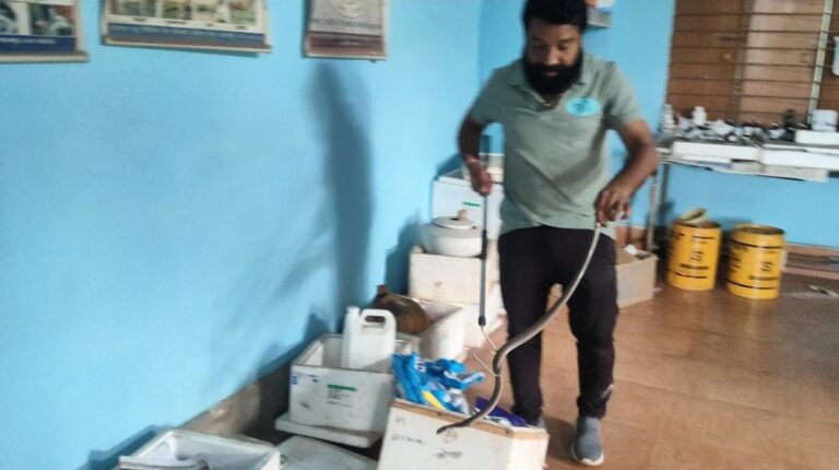 सावन के पहले सोमवार को पशु चिकित्सालय में निकला कोबरा, सुरक्षित रेस्क्यू कर जंगल में छोड़ा गया IMG 20260803 WA0015