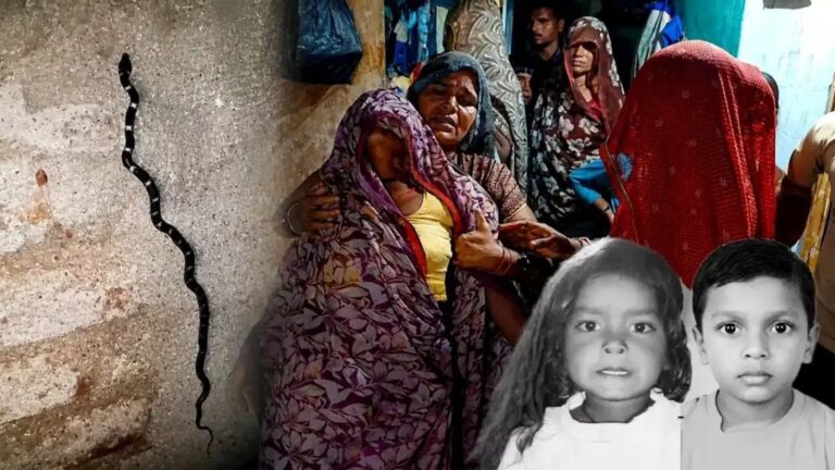 दो दिन पहले जिस कमरे में एक साँप को मारा गया था, वहीं दूसरे साँप ने दो मासूमों को डस लिया…भाई की मौत…बहन लड़ रही जिंदगी की जंग n72200806417858045963380dff072ecb2d244eeb3f94f689737ec29185e5a07131ef9deb91aa6dab7a92b9