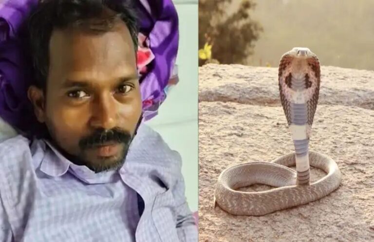 कोबरा ने डसा तो गुस्साए शख्स ने नागराज को दांतों से काटकर मार डाला, उसके बाद जो हुआ… n7228738631786447102312de5933bfee2fab41892e50773e41a3d6aaca7eb641b2a1496ca14fc2a2cb9c0d